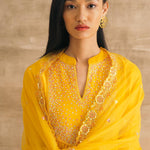 Yellow Embroidered Mirror Yoke Kurta Set