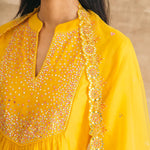 Yellow Embroidered Mirror Yoke Kurta Set