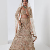 Champagne Gold Sequin Spray Lehenga