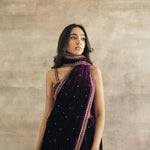 Plum Embroidered Silk Velvet Retro Sari