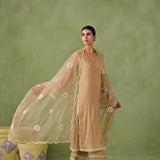 Organza Panel & Lace Kurta Set