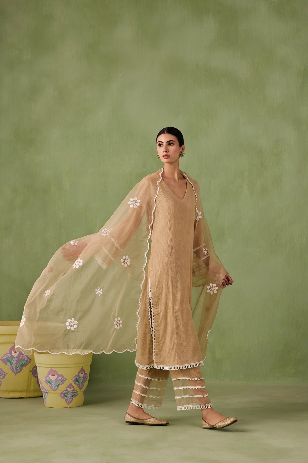 Organza Panel & Lace Kurta Set