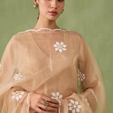 Organza Panel & Lace Kurta Set