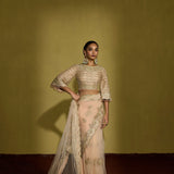 Shafa Saree