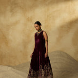 Anvaya Velvet Dress