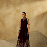Anvaya Velvet Dress