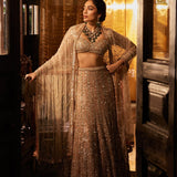 Champagne Gold Sequin Spray Lehenga