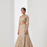 Champagne Gold Sequin Spray Lehenga