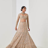 Champagne Gold Sequin Spray Lehenga