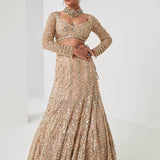 Champagne Gold Sequin Spray Lehenga