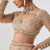 Champagne Gold Sequin Spray Lehenga