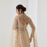 Champagne Gold Sequin Spray Lehenga