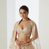 Nude Beige Embroidered Lehenga