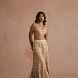 Deep Nude Mirror Drape Sharara Set