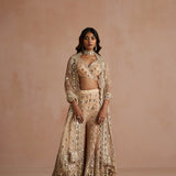 Deep Nude Mirror Drape Sharara Set