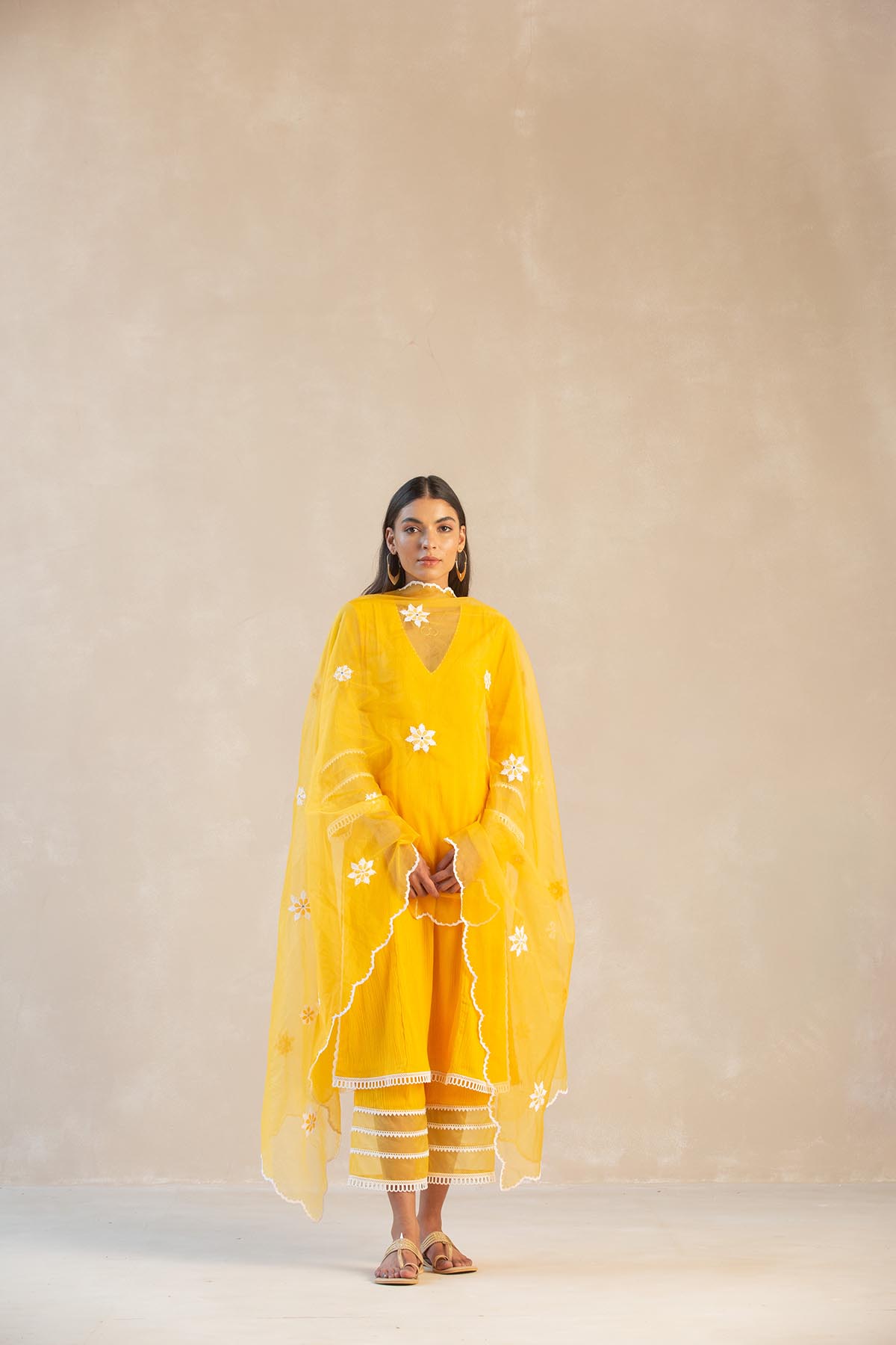 Organza Panel & Lace Kurta Set