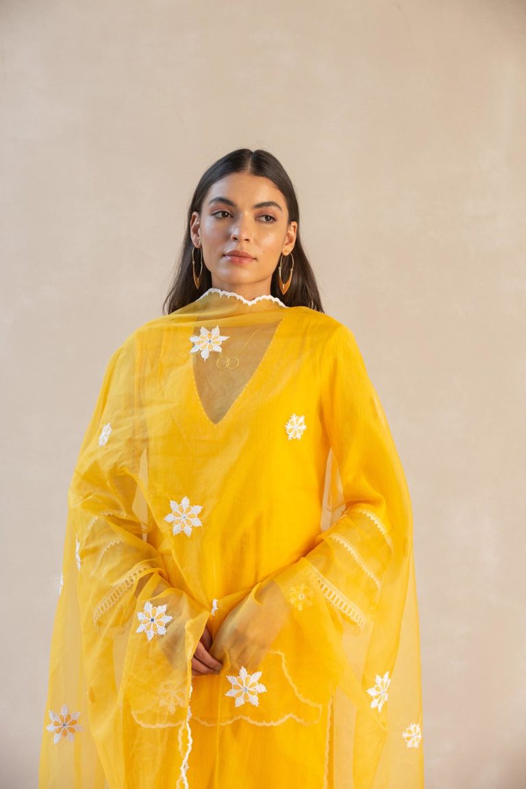 Organza Panel & Lace Kurta Set