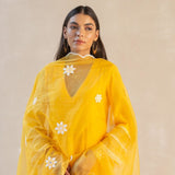 Organza Panel & Lace Kurta Set