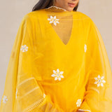 Organza Panel & Lace Kurta Set